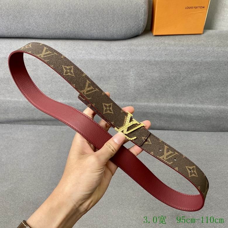 LV 30mmX95-110CM 7D  (73)